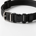 Boylee Hands Free Dog Leash with Reflective Stitches - Waist Leash for Dog Walking, Hiking, Training, Jogging, Canicross, Running - for Medium & Large Breeds